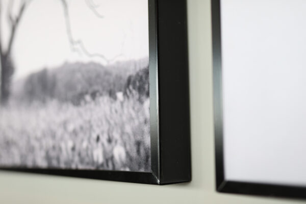 Print - Image 3