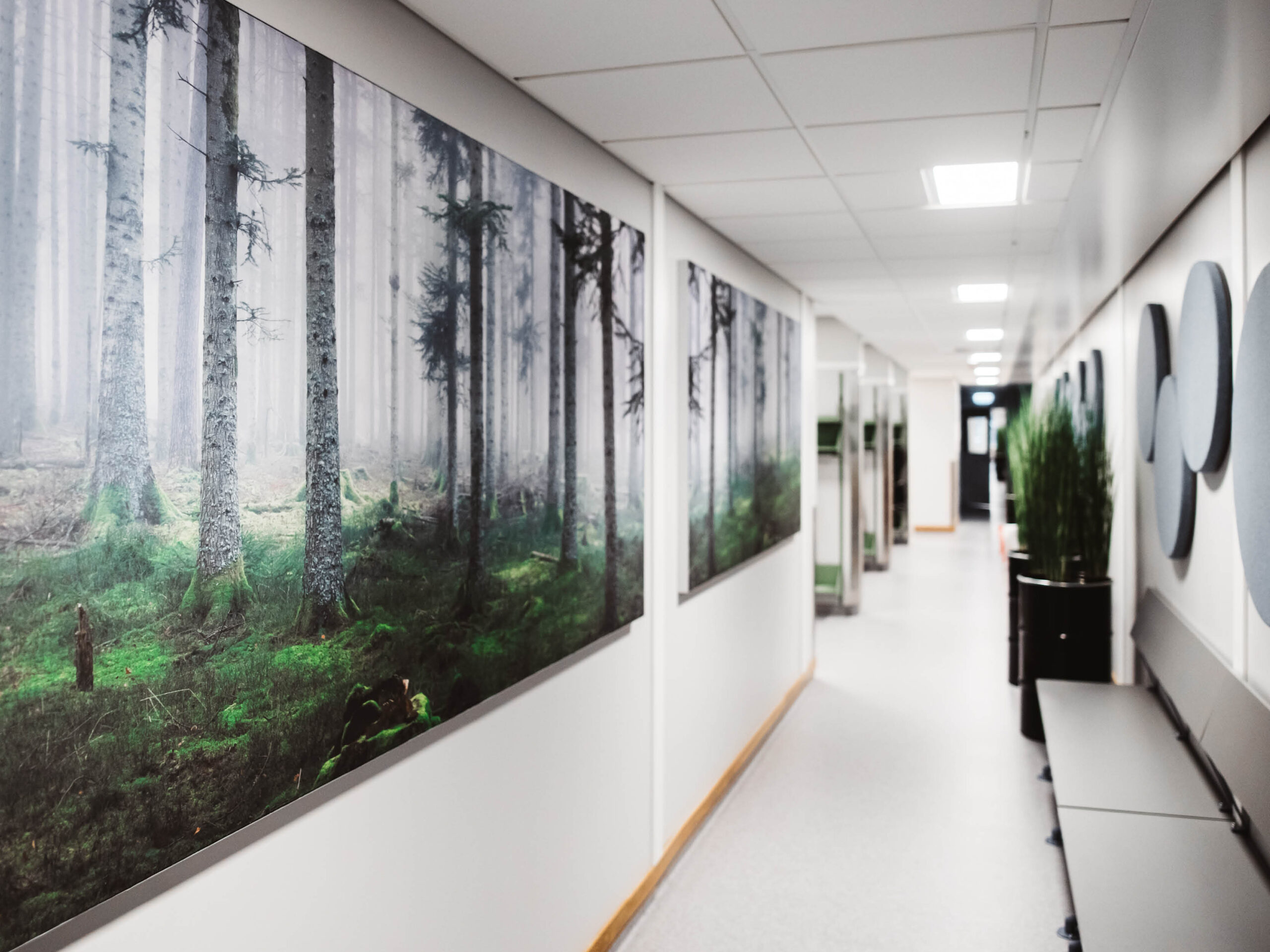 2 skolor med förbättrad ljudmiljö